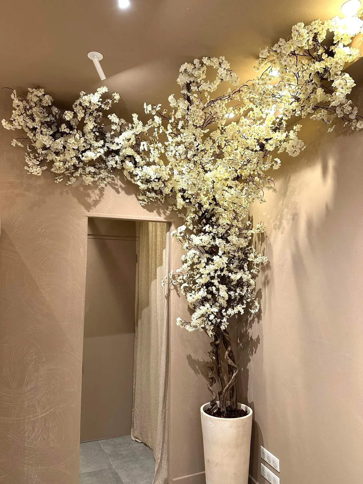 Boutique du vieil Antibes avec décoration florale artificielle en façade