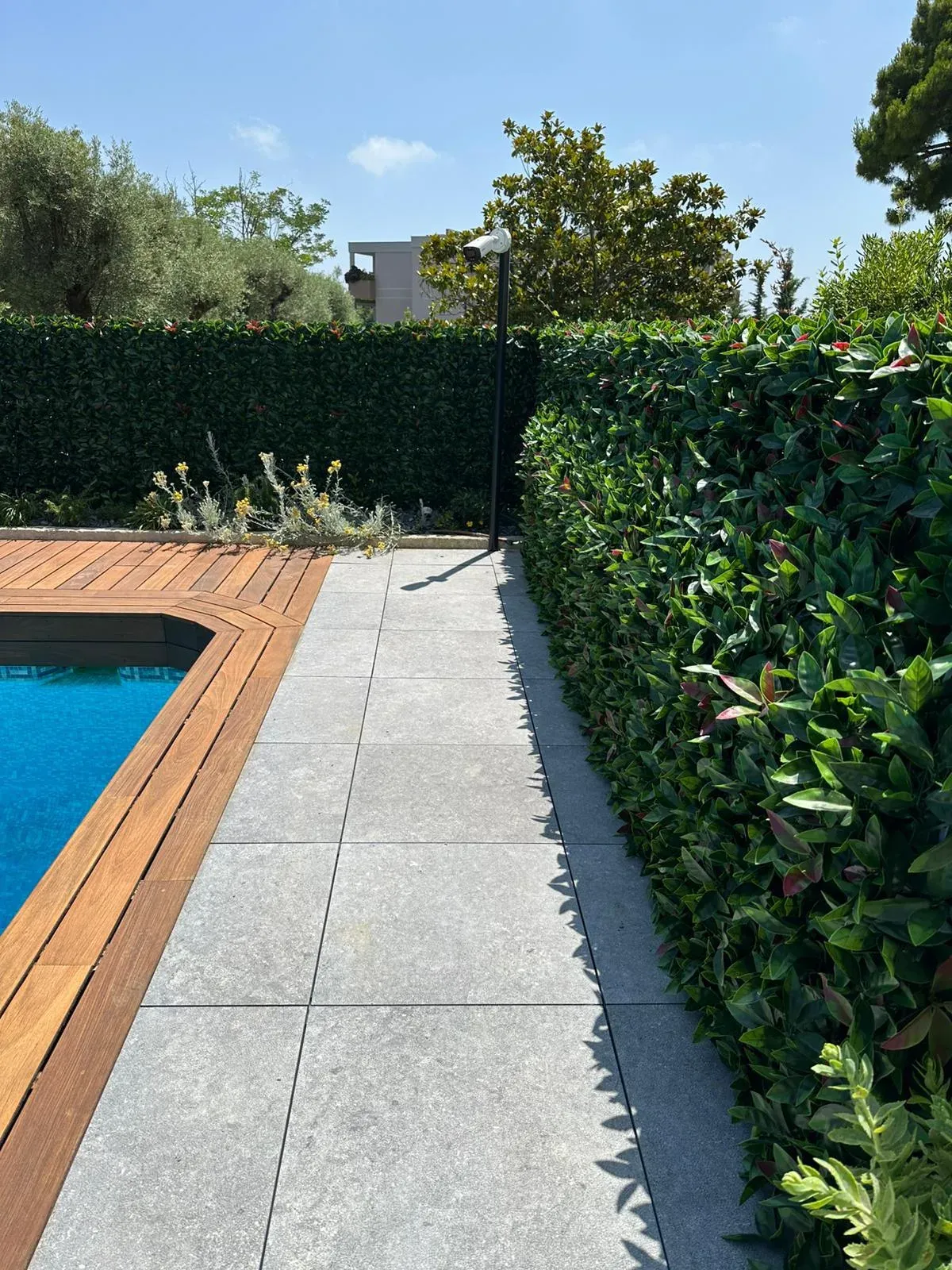 Brise-vue végétal en copropriété à Antibes, haie artificielle