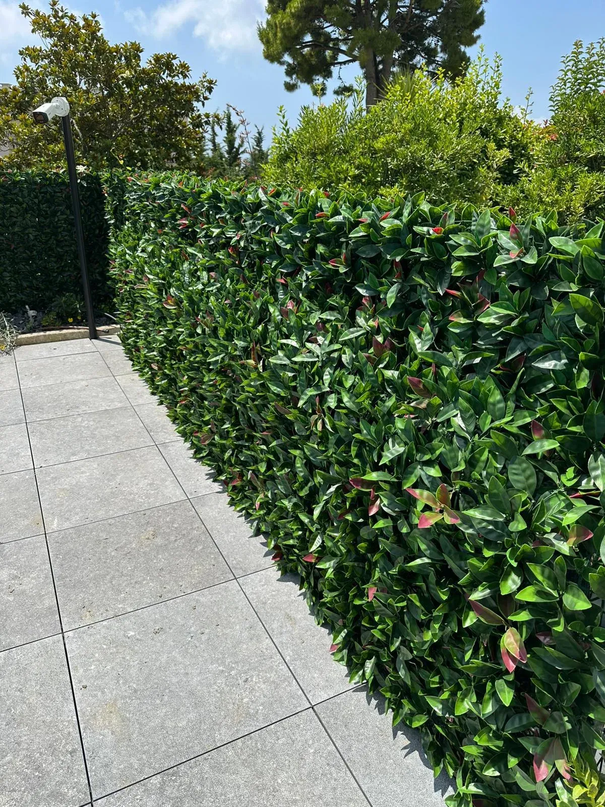 Haie artificielle en séparation de terrasse, copropriété Antibes