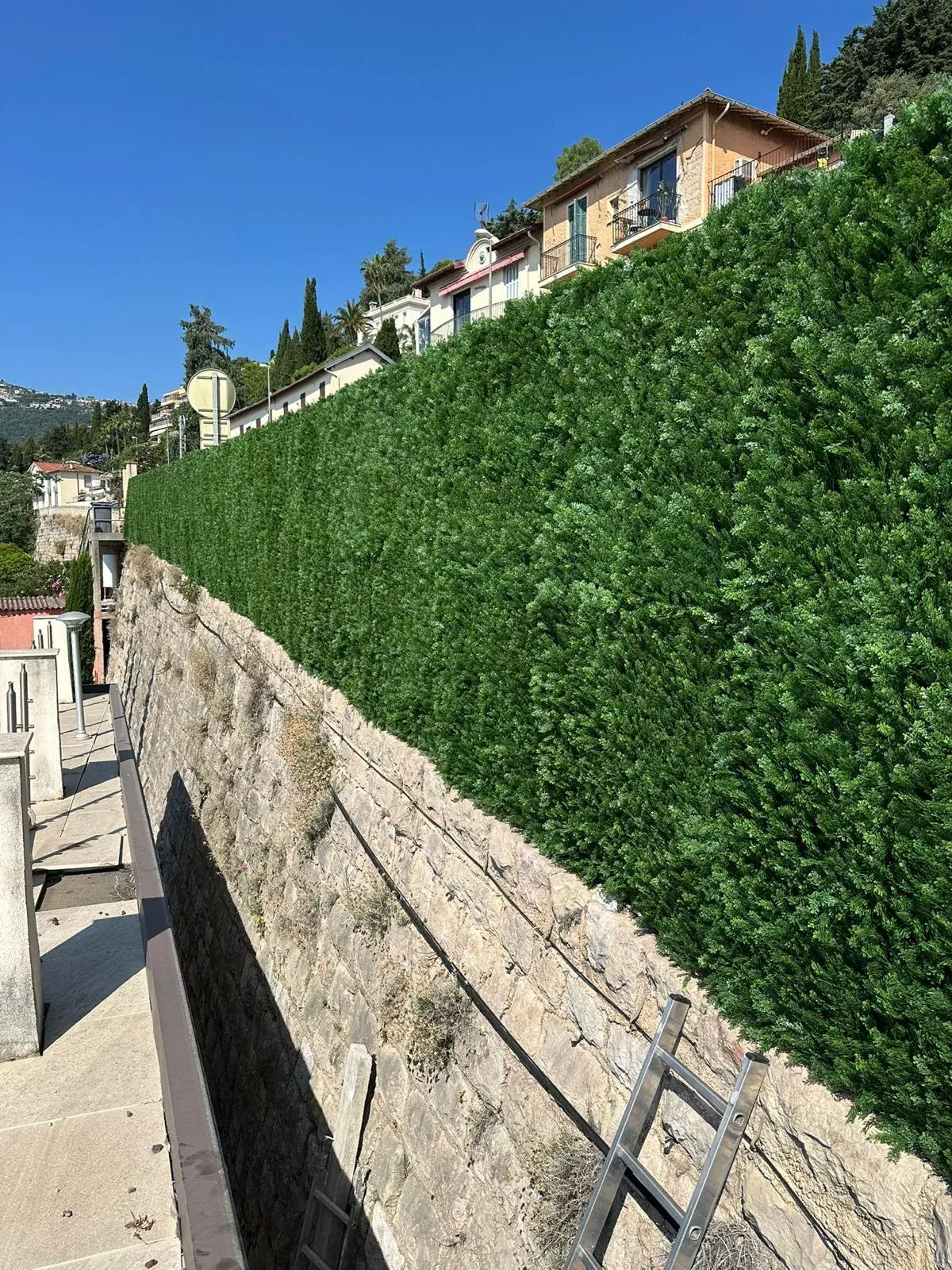 Haie artificielle chez un particulier, séparation de jardin