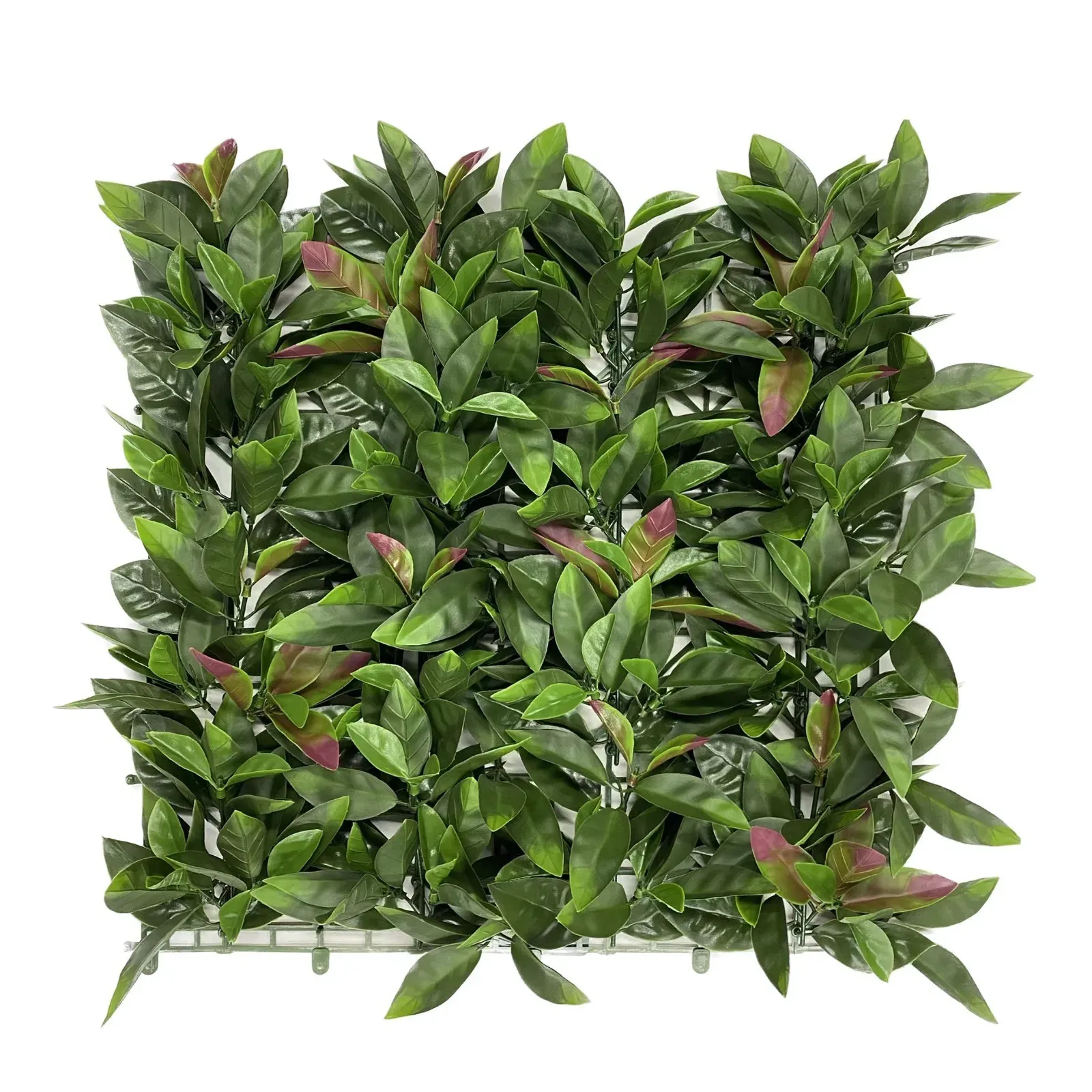 Plaque de feuillage artificiel Photinia – référence CCGA484