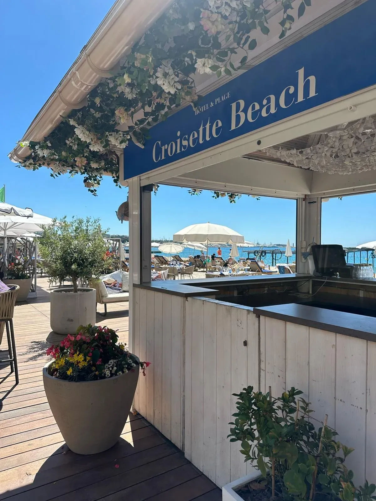 Décoration végétale de la plage privée Croisette Beach à Cannes