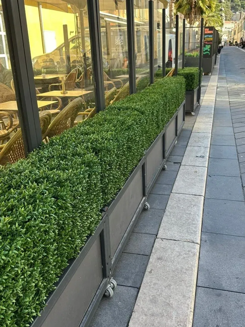 Mur végétal artificiel en salle, restaurant Boaz Akathor à Nice