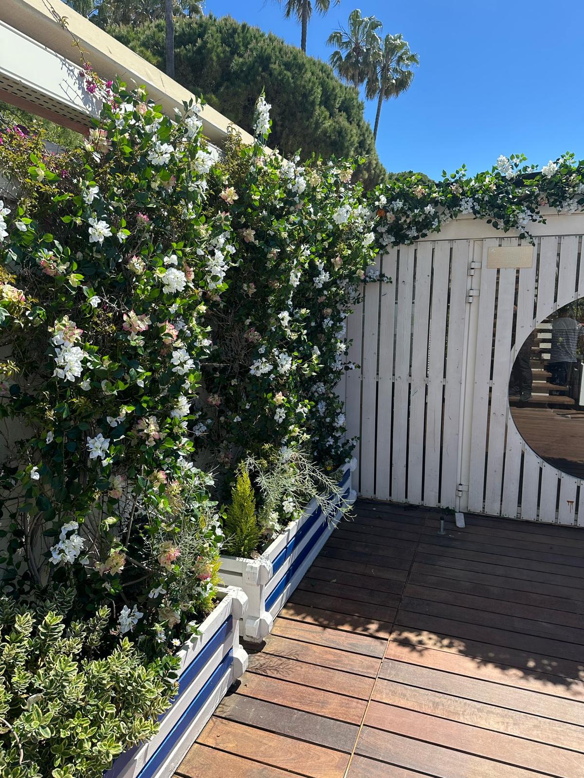 Plage Privée Croisette Beach Cannes - décoration florale artificielle pour façades, vitrines et restaurants