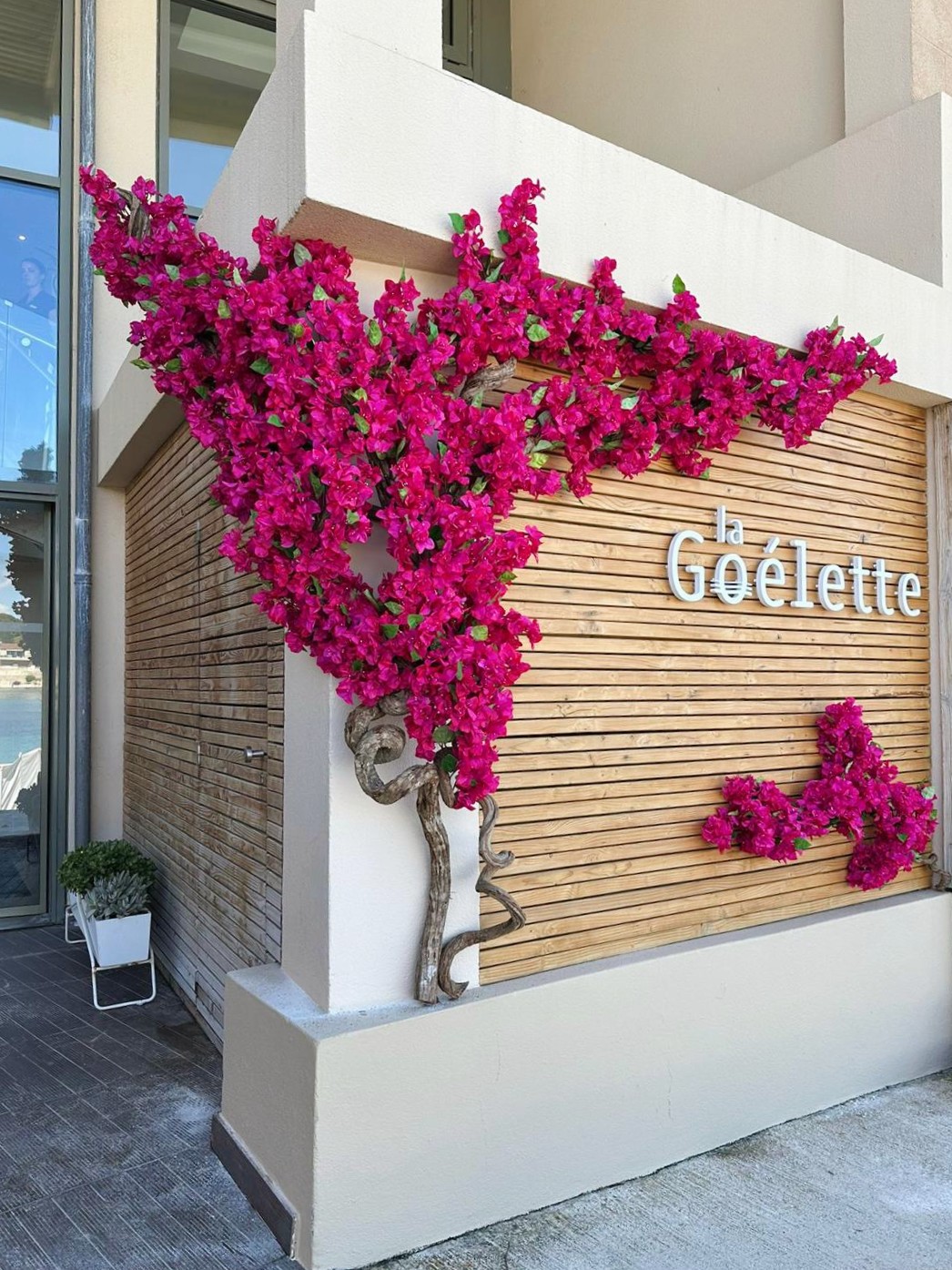 Thalazur Bandol - décoration florale artificielle pour façades, vitrines et restaurants