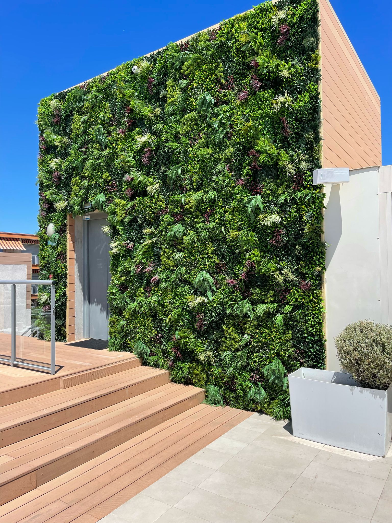 Hôtel Syracuse Villeneuve Loubet - murs végétaux artificiels pour commerces, bureaux et intérieurs