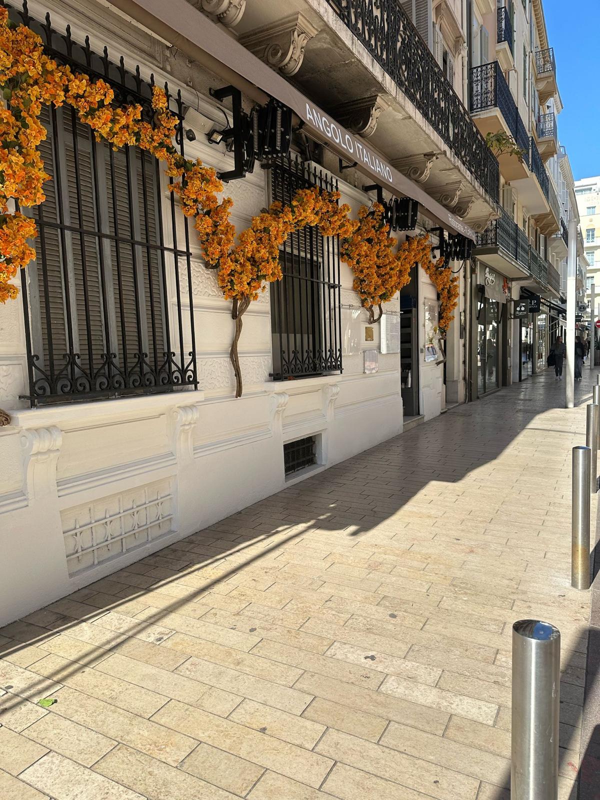 Restaurant Angolo Italiano Cannes - murs végétaux artificiels pour commerces, bureaux et intérieurs