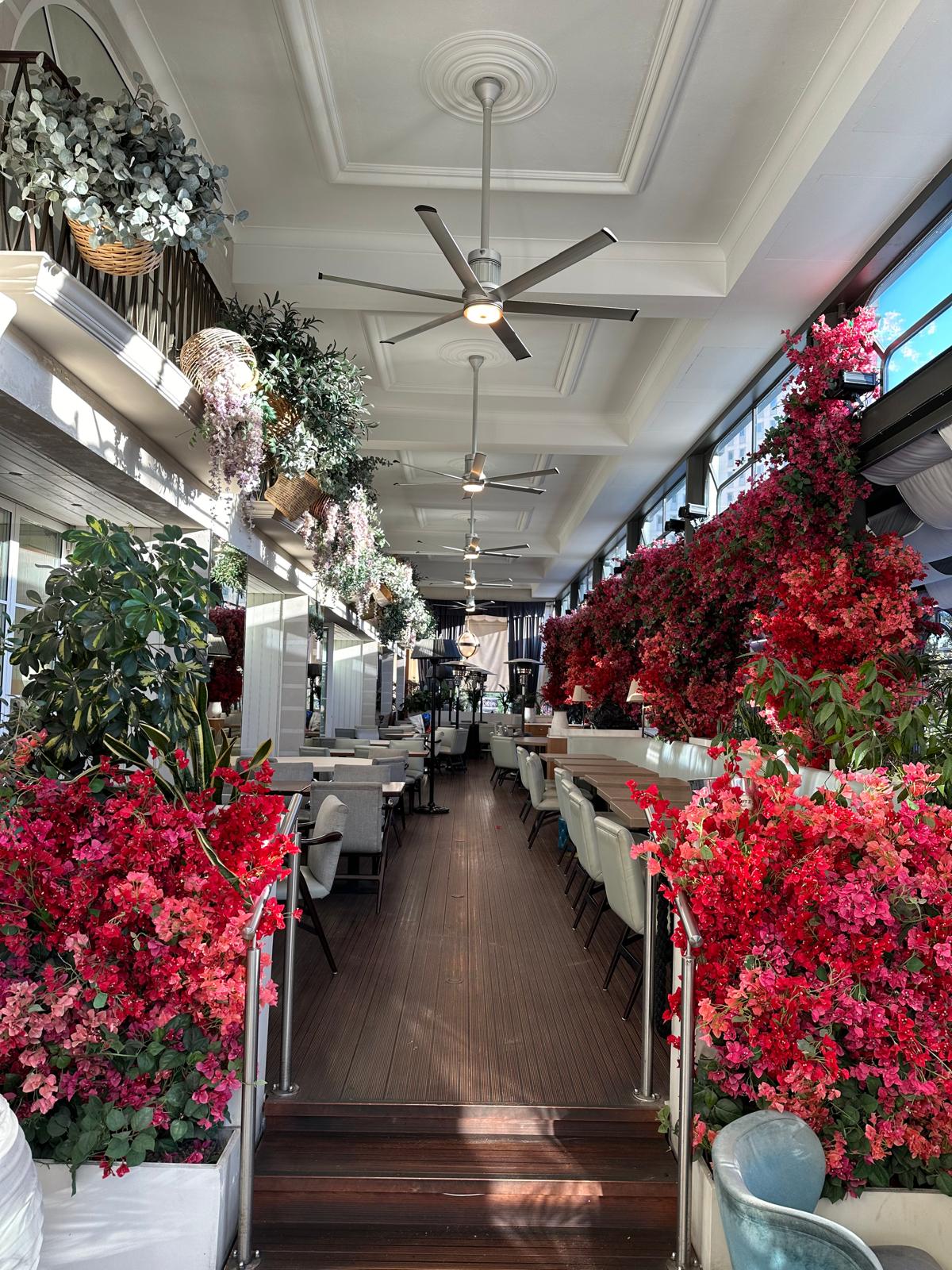 Projet AMU à Monaco