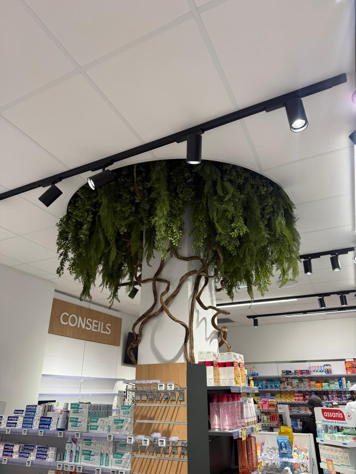 Pharmacie Riviera Nice - plantes artificielles et jardinières pour halls, terrasses et balcons